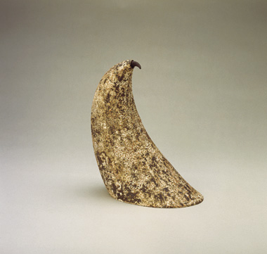 Horn with black
            tip, 1999, 33x24 cm