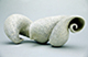 Small uncurling torso, 1995, 14.5x15.5x8